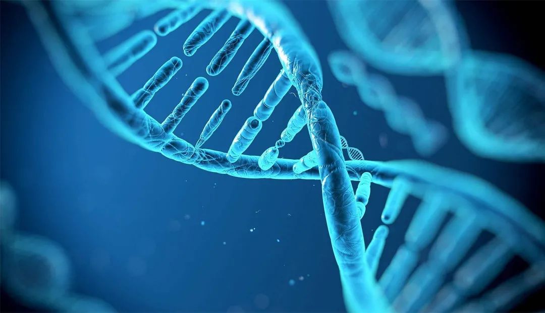 a81090666ad3d9edf7c8e6cd54b78914.jpg a81090666ad3d9edf7c8e6cd54b78914.jpg